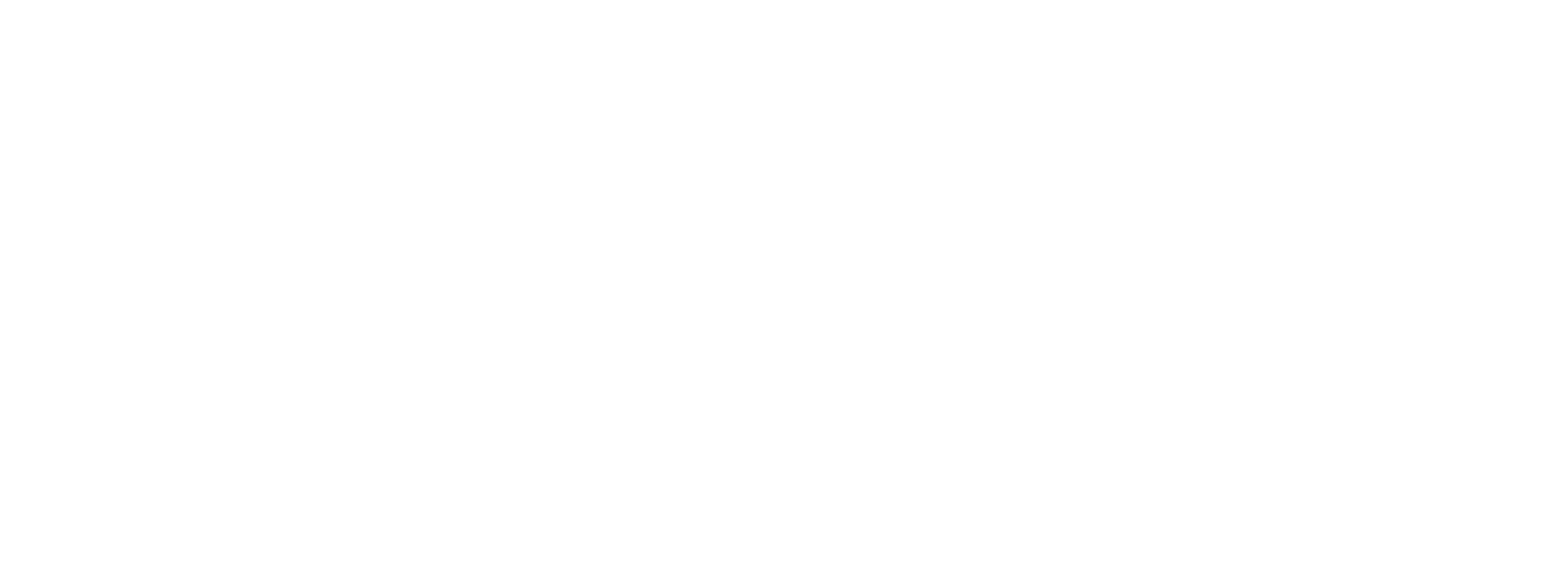 Original on Transparent video portrait black